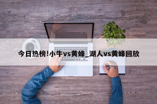 今日热榜!小牛vs黄蜂_湖人vs黄蜂回放