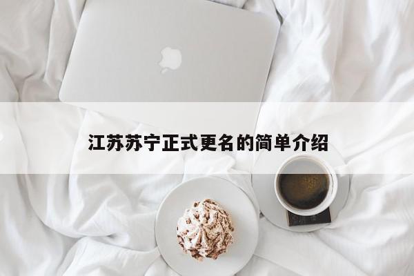 江苏苏宁正式更名的简单介绍